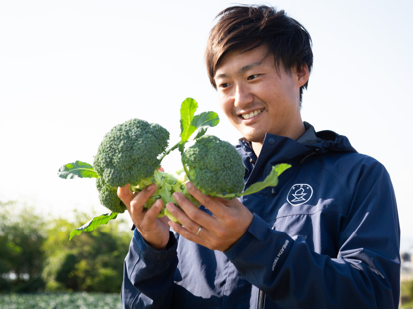 露地野菜の開発・販売