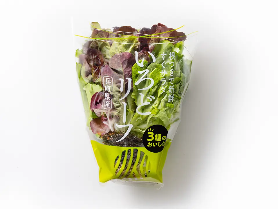 いろどリーフ