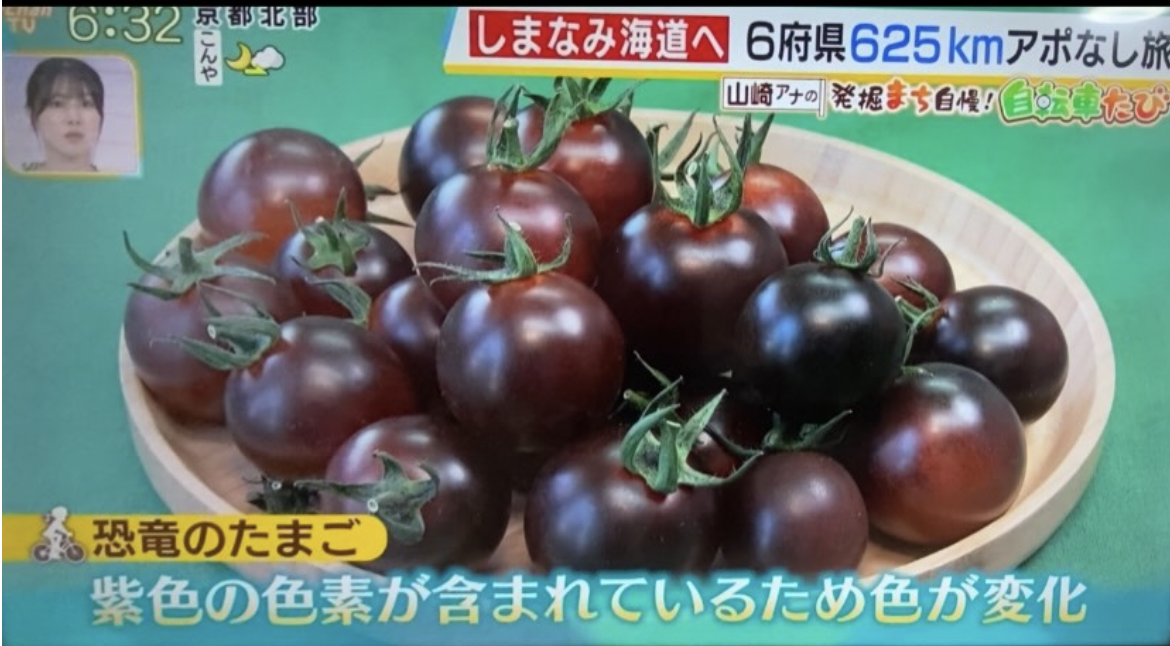 MBS毎日放送「よんチャンTV」テレビ放映のお知らせ