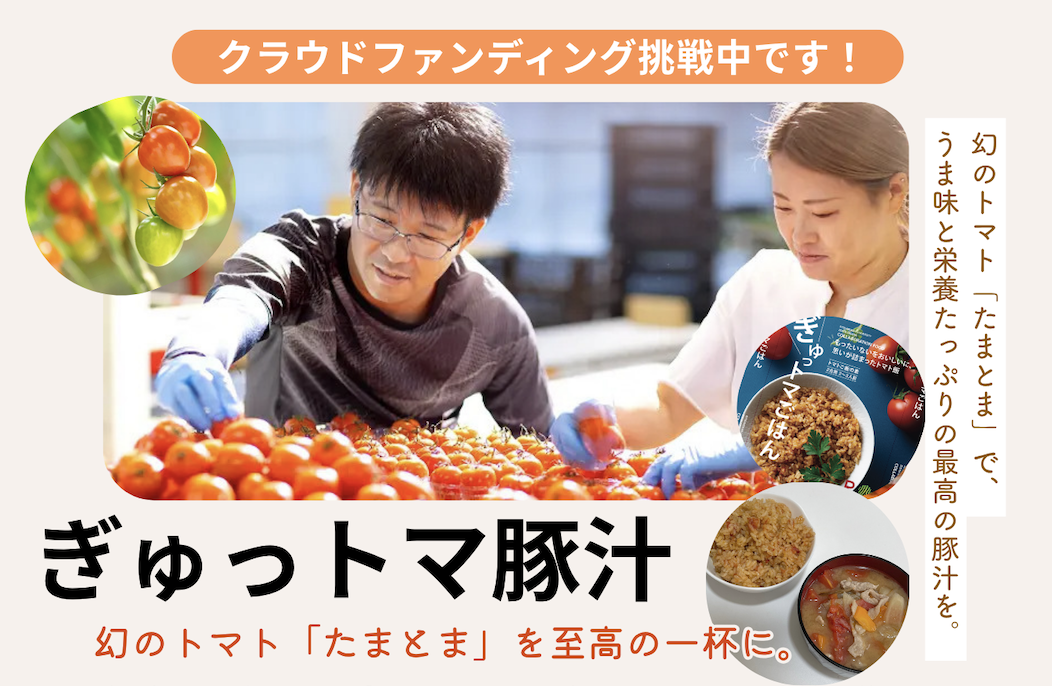 クラウドファンディングへの挑戦　〜ぎゅっトマ豚汁〜